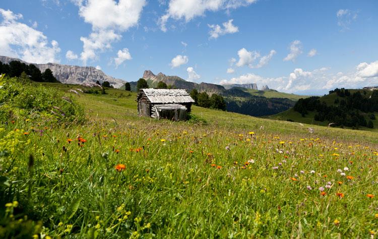 originale bagno di fieno fieer heubad alto adige