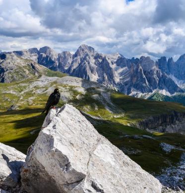 dolomiti-seiser-alm-marketing-maurizio-bonetti