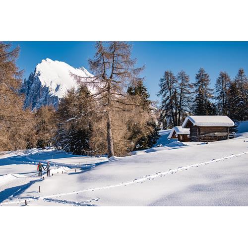 Angebote Seiser Alm im Hotel Heubad - Genießen & Erleben - Seiser Alm ...