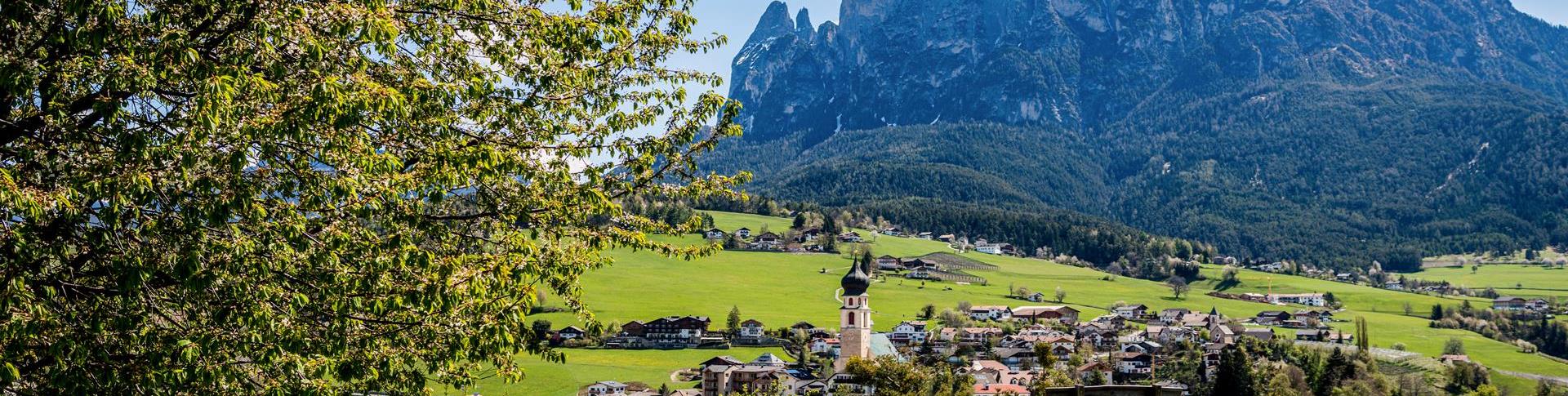 seiser-alm-marketing-werner-dejori