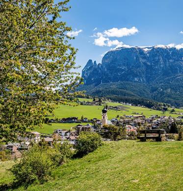 seiser-alm-marketing-werner-dejori